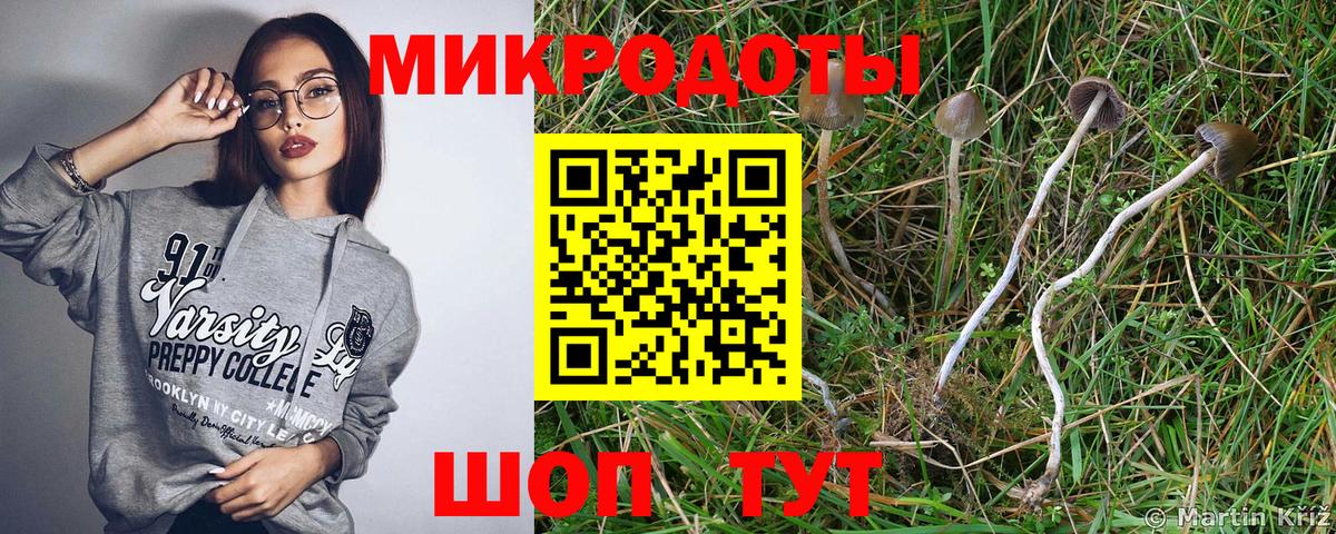 что такое наркотик  Вход с VPN  Ессентуки  Галлюциногенные грибы мухоморы 